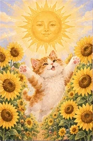 ไพ่แมว แมวในวันแดดดี (The Sun)